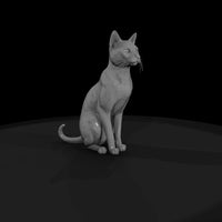a-collection-of-housecats-siamese-a4268fe7-meshref — thumbnail 4