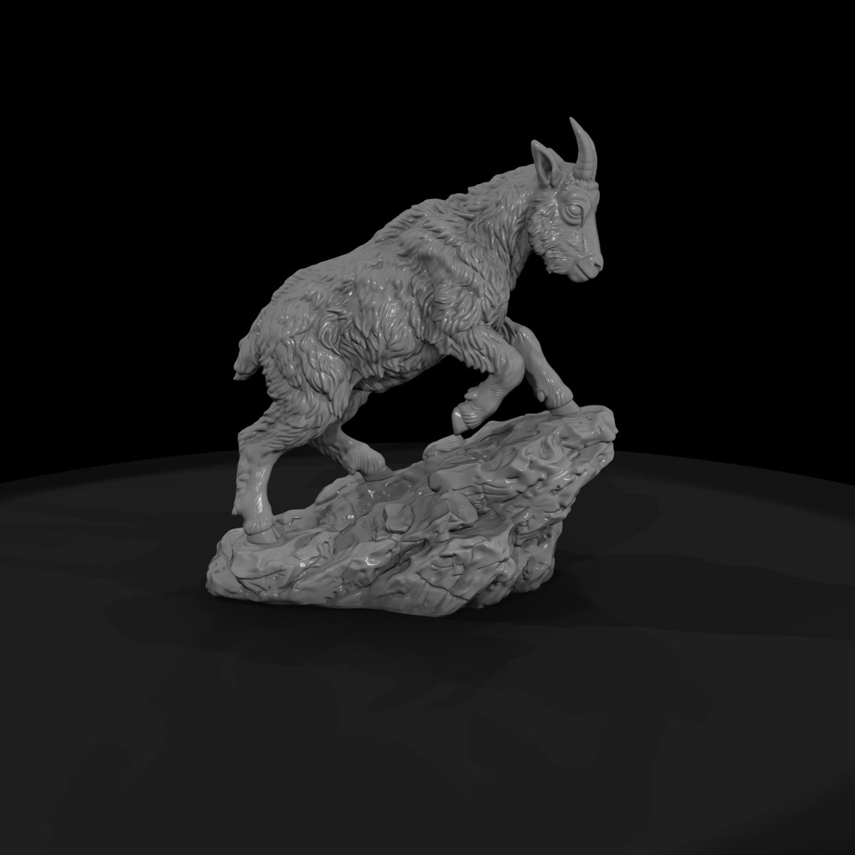 ant-060-mountain-goat-adolescent