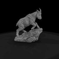 ant-060-mountain-goat-adolescent — thumbnail 4