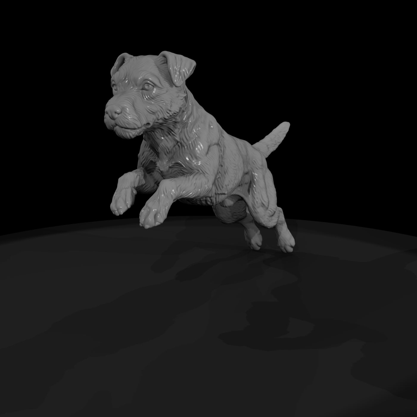 cir-125-animal-jumping-terrier