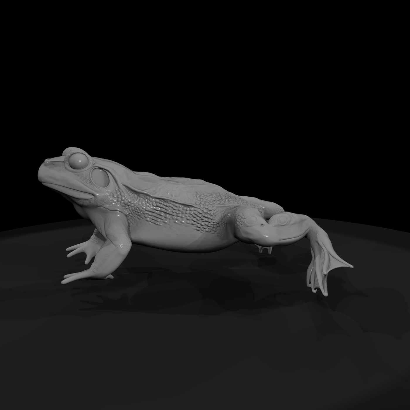 Winged Fantasy Frog
