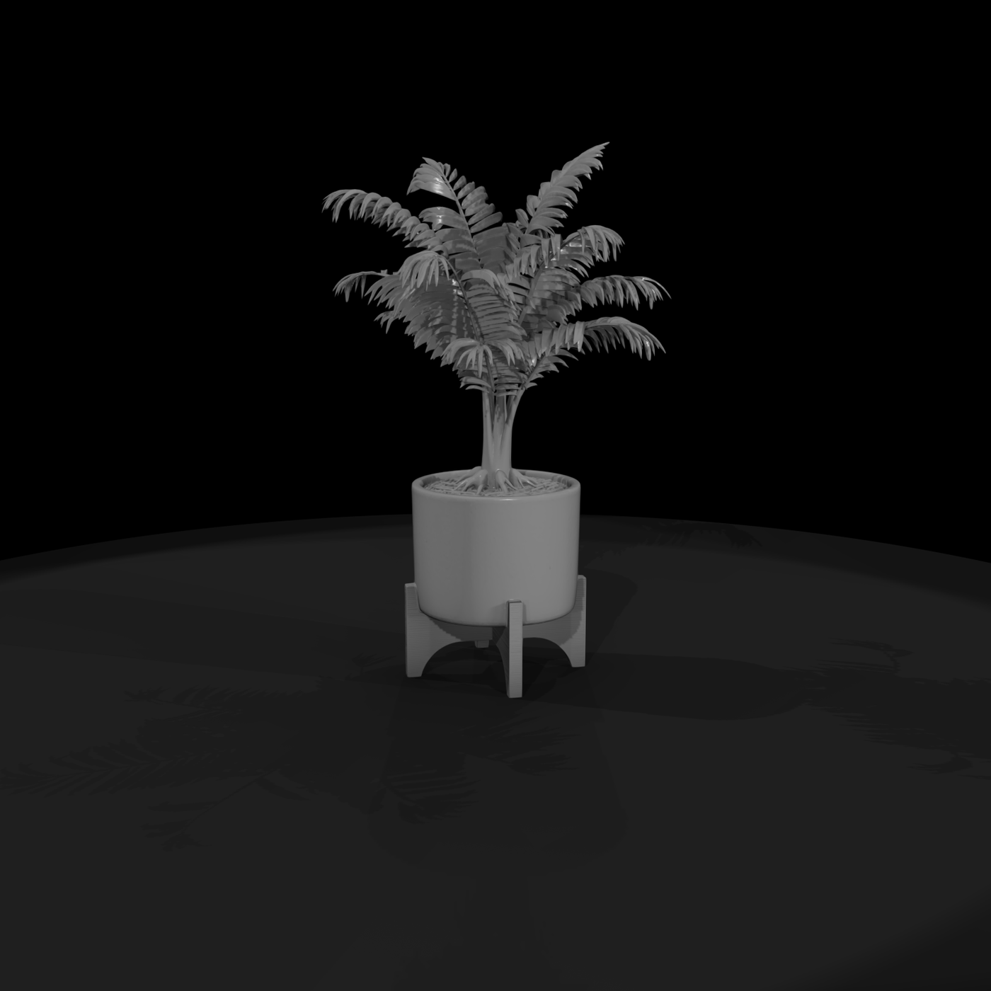 Stylized Minimalist Potted Palm 3D Model 2Bjzyfrf