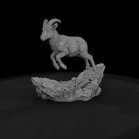 ant-057-bighorn-sheep-adolescent — thumbnail 4