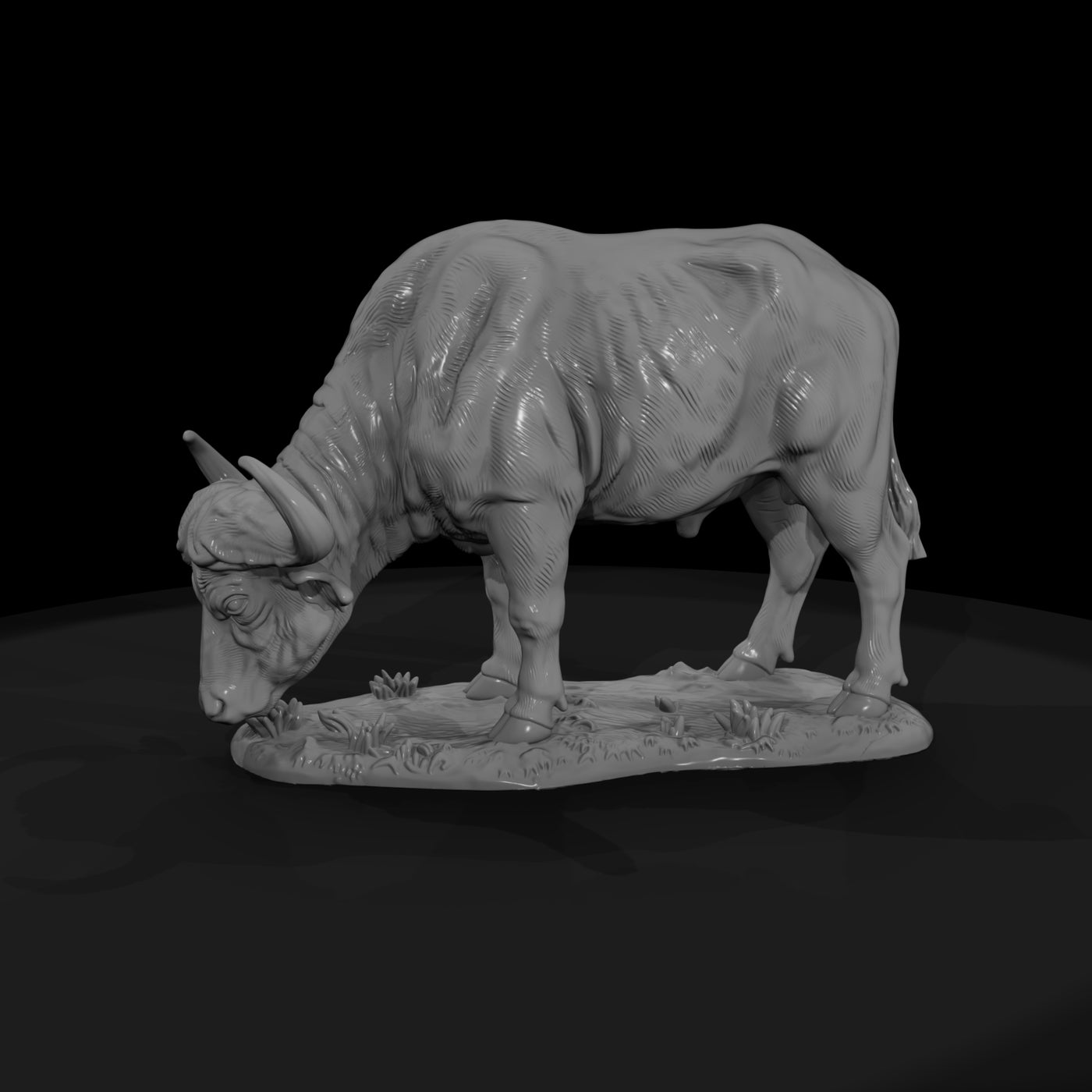 ant-224-cape-buffalo-female