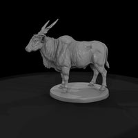ant-241-eland-male — thumbnail 4