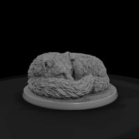 ant-173-arctic-fox-female — thumbnail 4