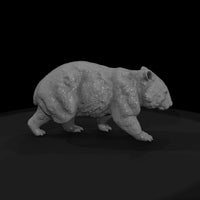 ant-268-common-wombat-male — thumbnail 4