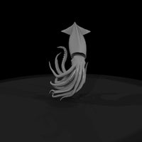 20260612-detailed-grey-squid-8f04875c8d — thumbnail 4