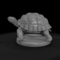 Giant Land Tortoise — thumbnail 5