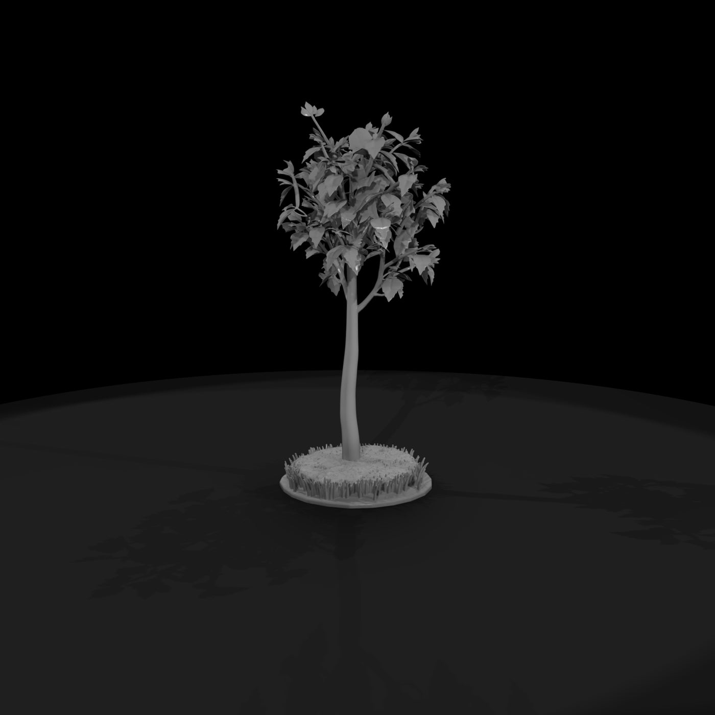 stylized-birch-tree-low-poly-diorama-tree-209959