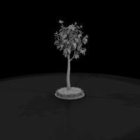 stylized-birch-tree-low-poly-diorama-tree-209959 — thumbnail 5