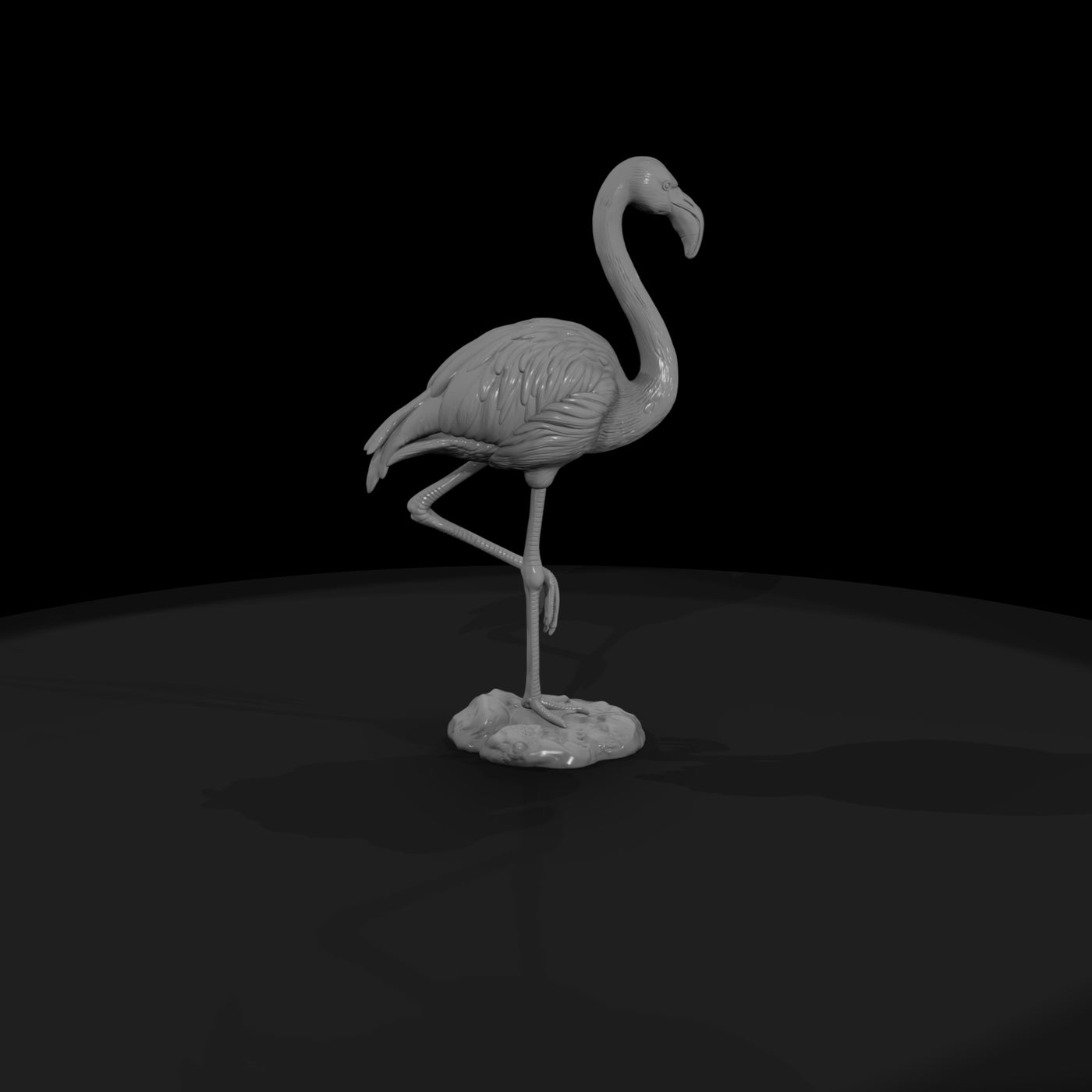 ant-127-greater-flamingo-male