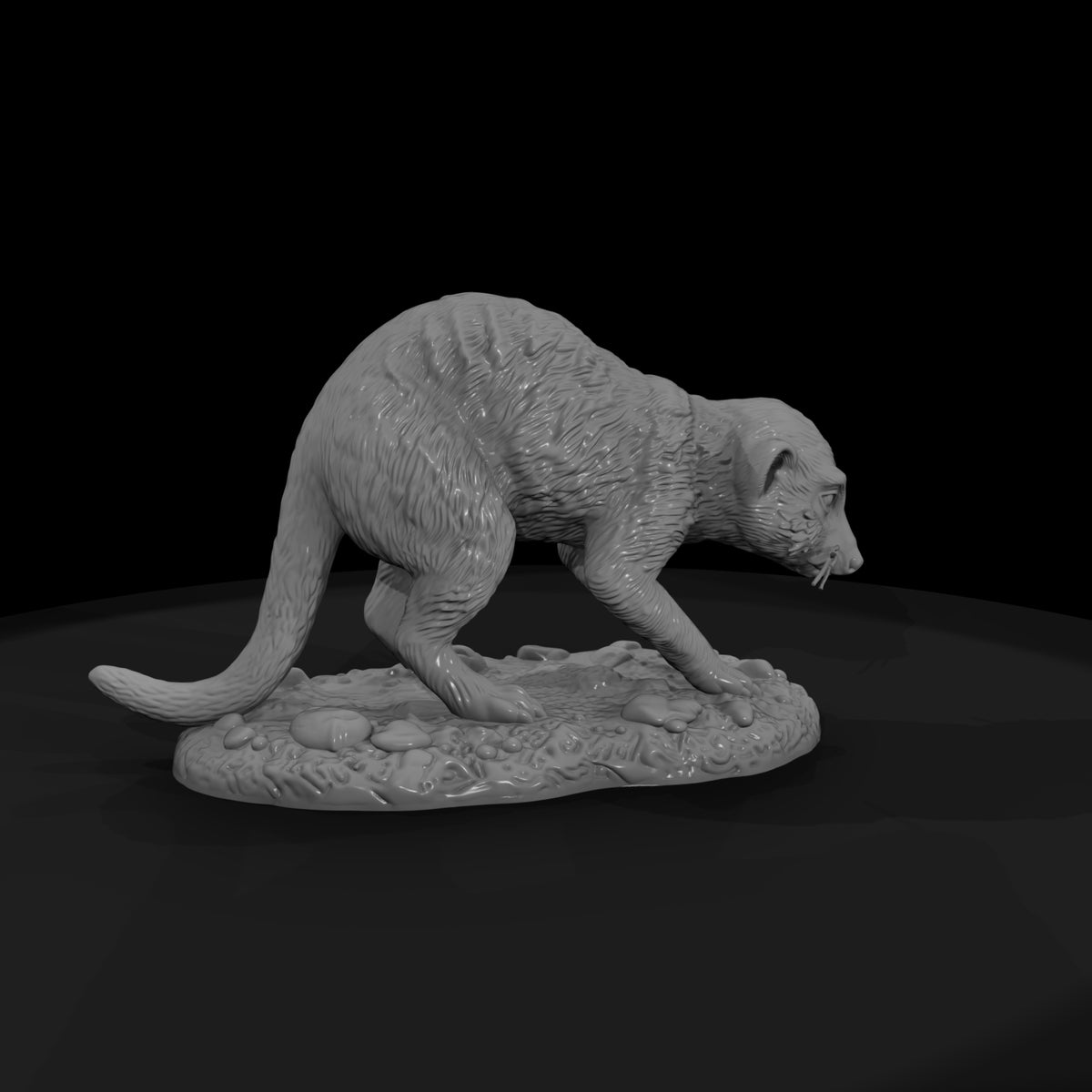 ant-191-meerkat-female
