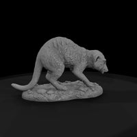 ant-191-meerkat-female — thumbnail 4