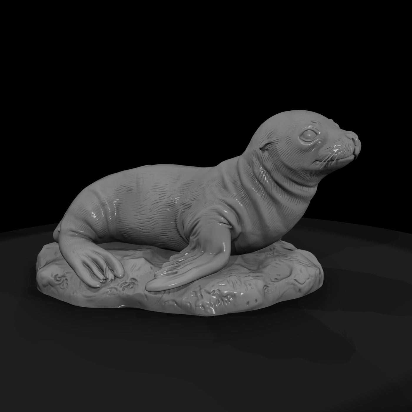 ant-141-sea-lion-adolescent