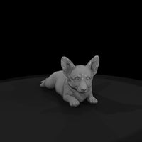 all-the-puppies-8a6f7309-meshref — thumbnail 4