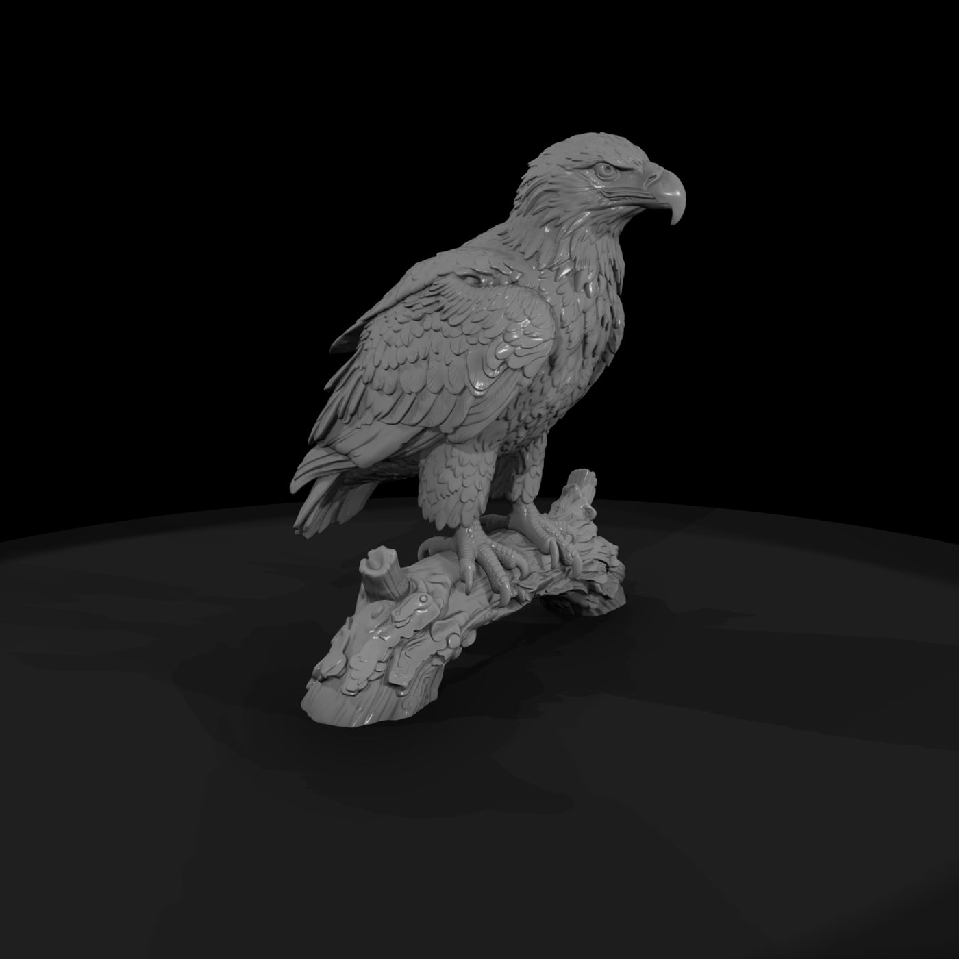 ant-114-bald-eagle-adolescent