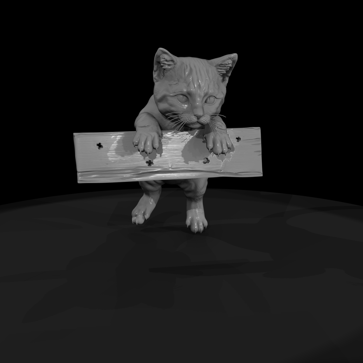 Polydactyl Housecat Set — Sitting & Reaching Poses