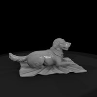 family-dog-lying-pose-miniature-494440 — thumbnail 4