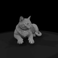 a-collection-of-housecats-polydactyl-da557fdd-mesh — thumbnail 4