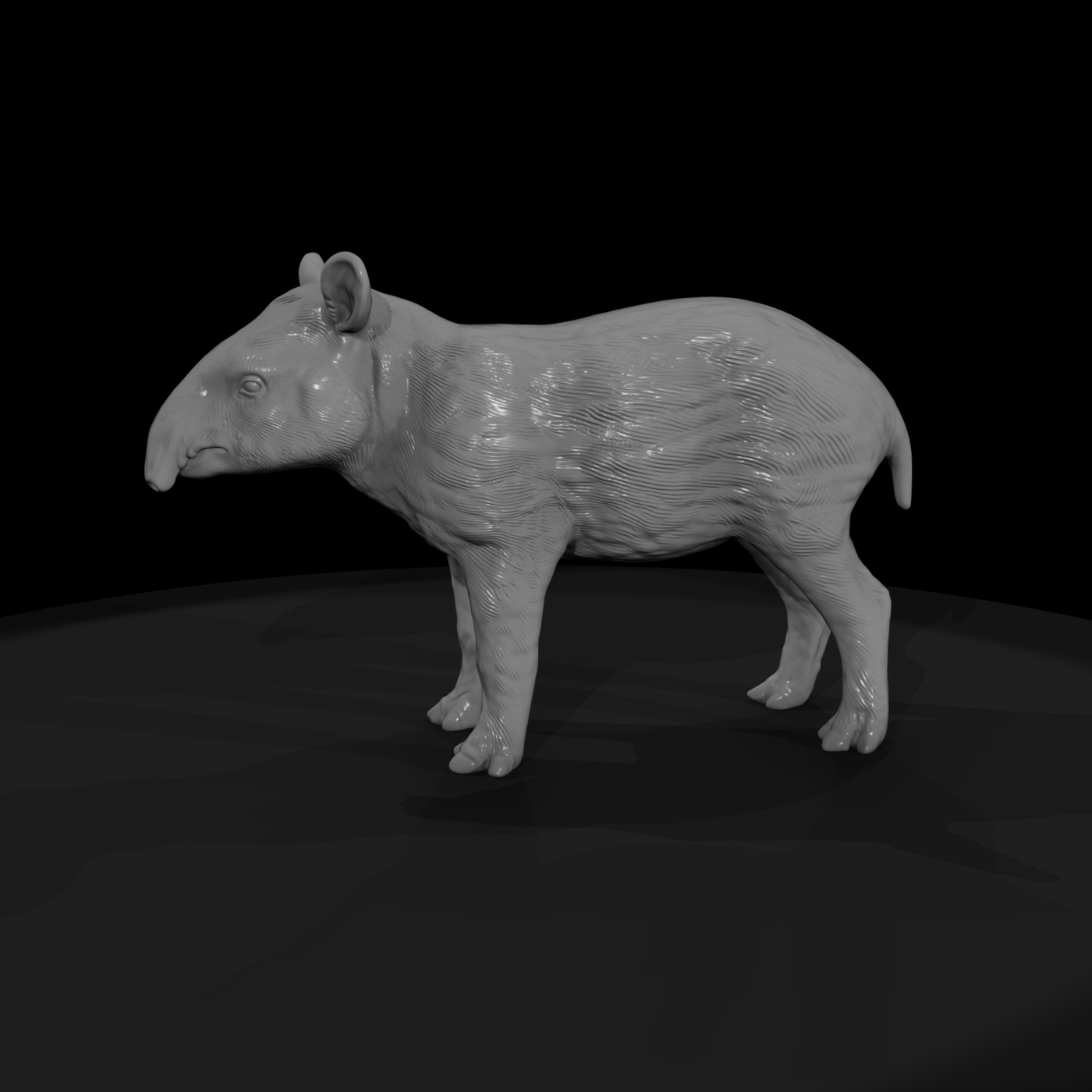 Malayan Tapir