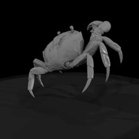 1980s-miami-beach-crab — thumbnail 6