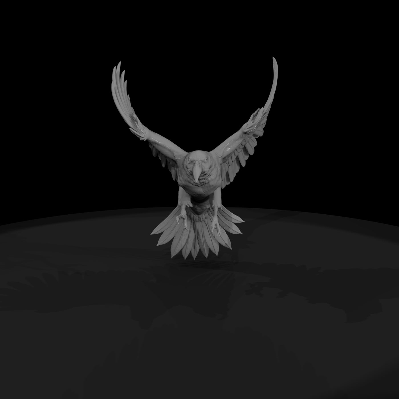 20260612-black-flying-raven-72becd3757