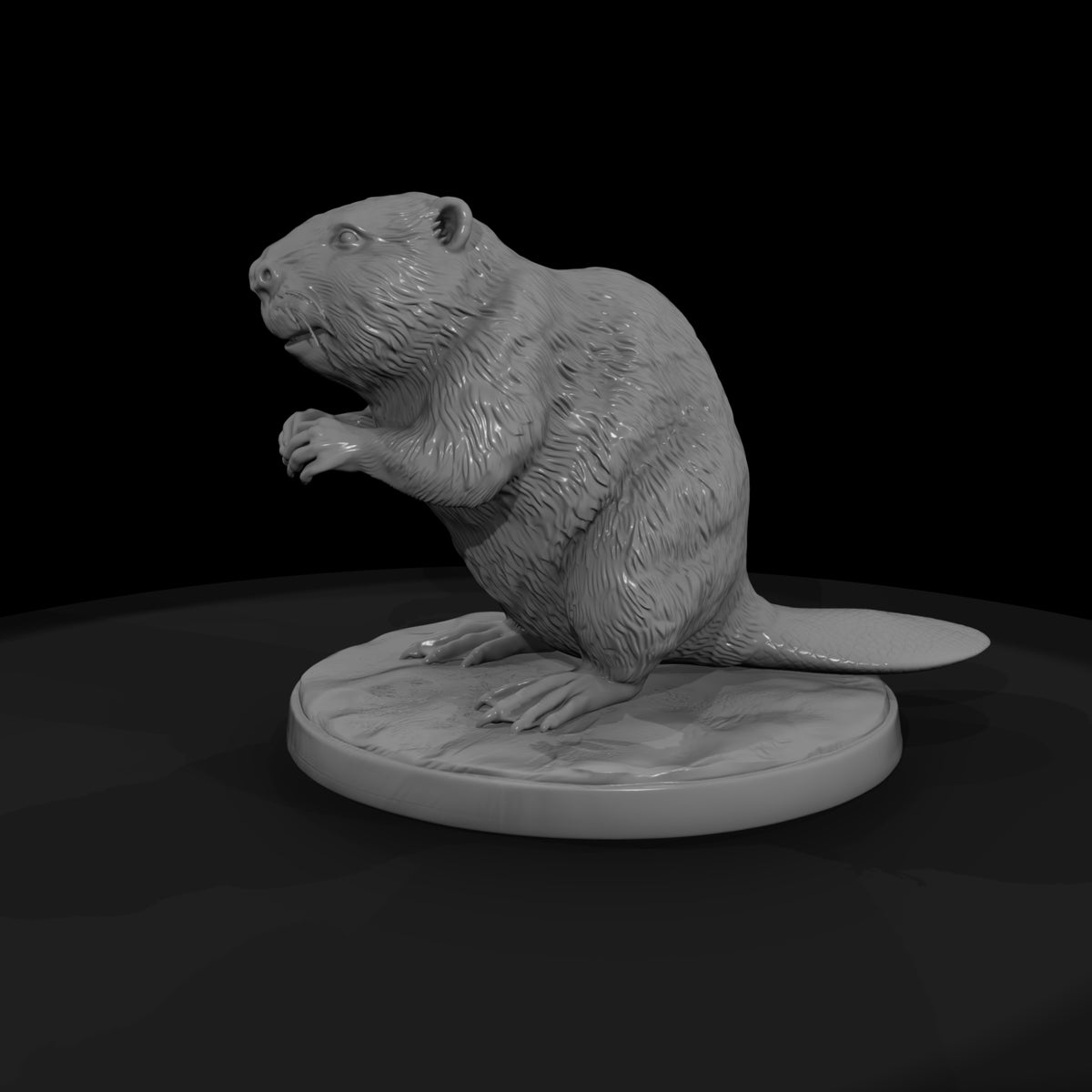 ant-188-beaver-female