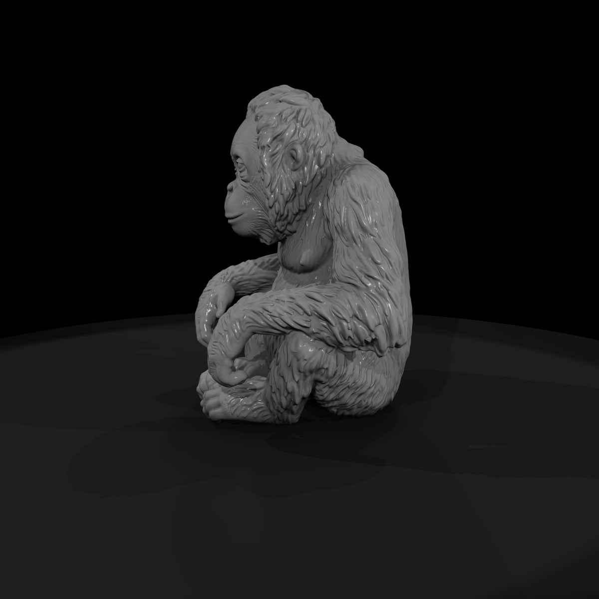 ant-111-orangutan-adolescent