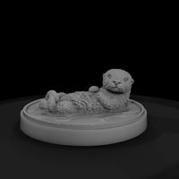 ant-186-sea-otter-adolescent — thumbnail 4