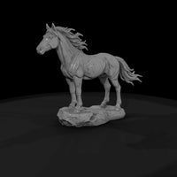 ww-0287-animal-wild-mustang — thumbnail 4