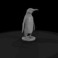 ant-299-king-penguin-female — thumbnail 4