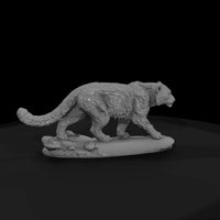 ant-155-snow-leopard-female — thumbnail 4