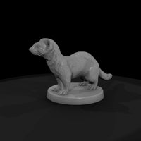 anim-28-ferret-5c2cc8 — thumbnail 4