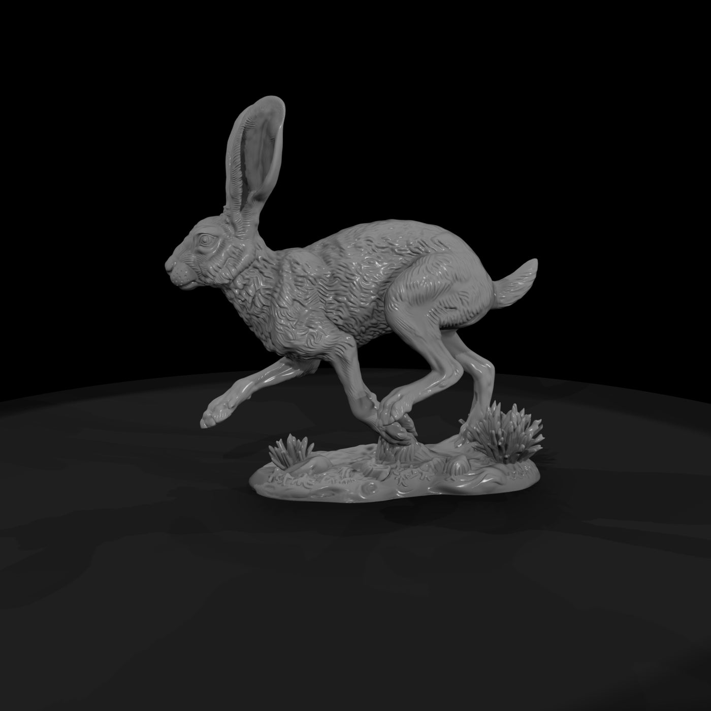 ww-0322-animal-jackrabbit
