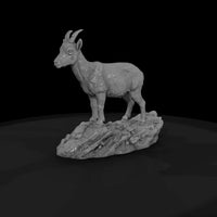 ant-278-alpine-ibex-female — thumbnail 4
