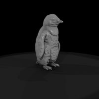 ant-300-king-penguin-adolescent — thumbnail 4