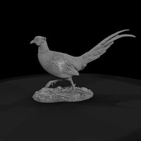ant-097-ring-necked-pheasant-male — thumbnail 4
