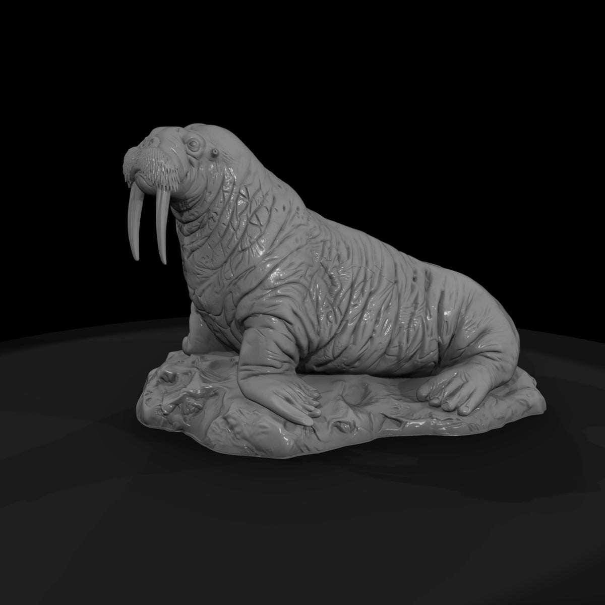 ant-142-walrus-male