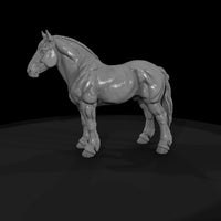 ww-0280-animal-draft-horse — thumbnail 4