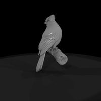 sculpted_blue_jay_3d_bird_model_pmqmecmc — thumbnail 5
