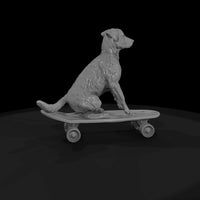 fun-misc-dog-on-skateboar — thumbnail 6