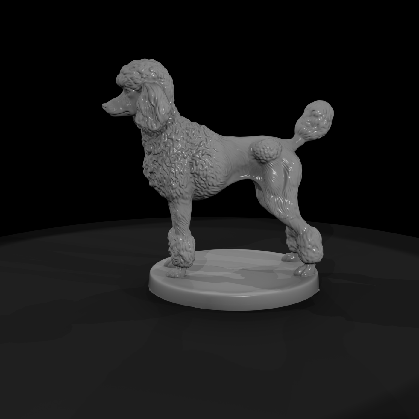 Standing Standard Poodle