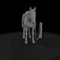 horse — thumbnail 5