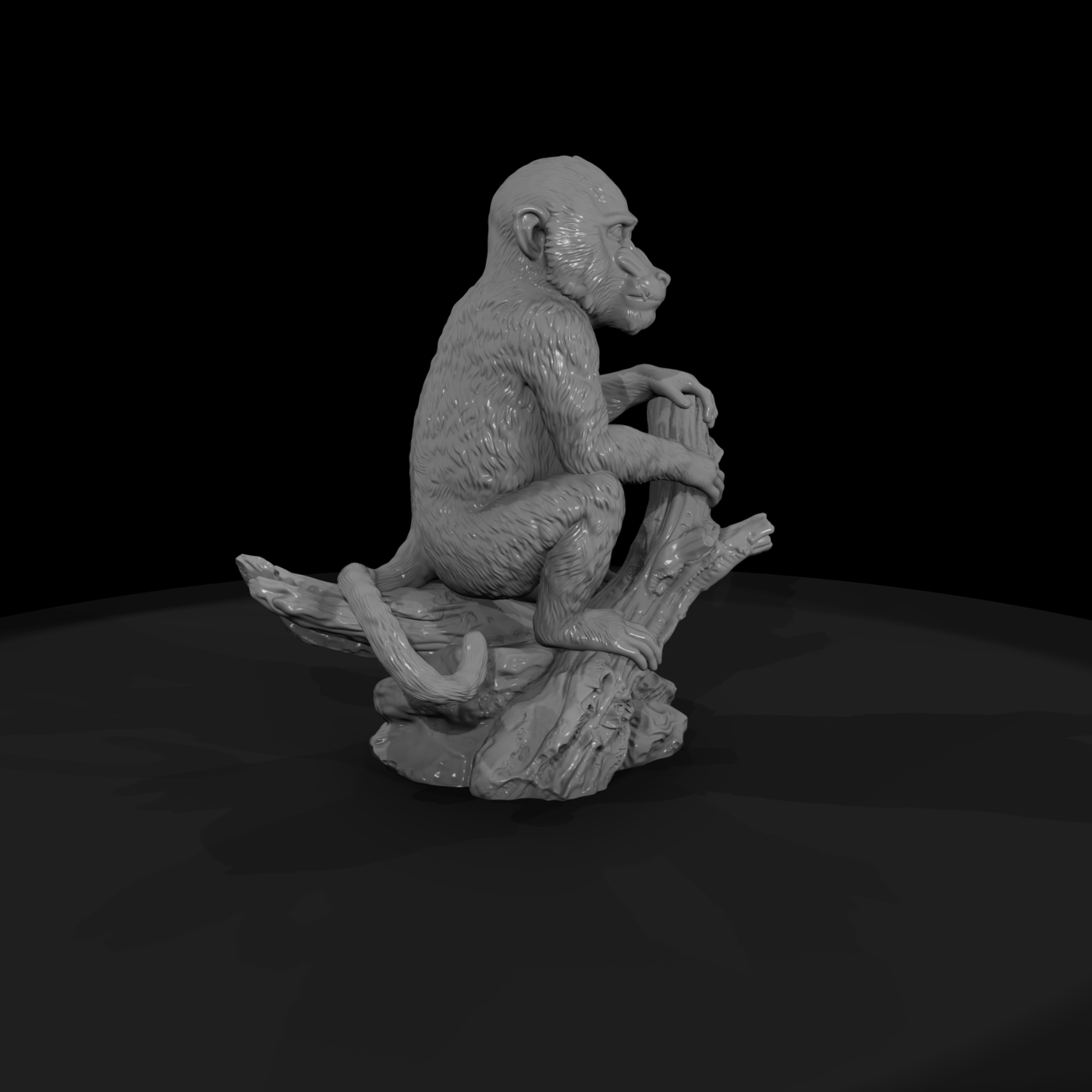 Sitting Mandrill on Stump