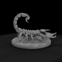 ww-0340-animal-desert-scorpion — thumbnail 4