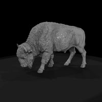 ant-050-american-bison-female — thumbnail 4