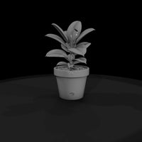 stylized-potted-rubber-plant-miniature-910726 — thumbnail 5