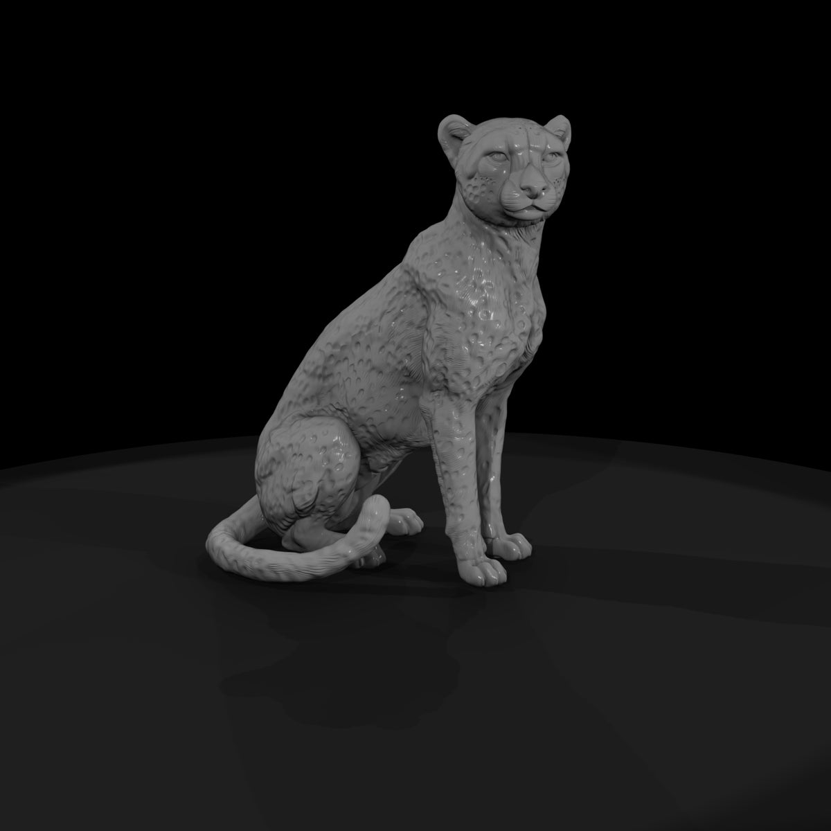 ant-011-cheetah-female