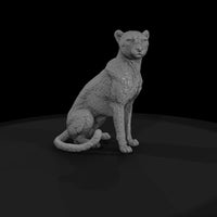 ant-011-cheetah-female — thumbnail 4